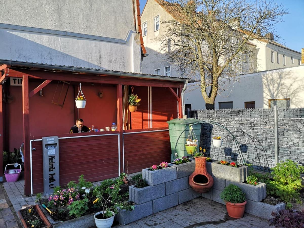 Pension Zur Gartenstadt Wittenberg Dış mekan fotoğraf